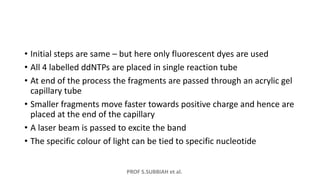 PROF S.SUBBIAH et al.
• Initial steps are same – but here only fluorescent dyes are used
• All 4 labelled ddNTPs are placed in single reaction tube
• At end of the process the fragments are passed through an acrylic gel
capillary tube
• Smaller fragments move faster towards positive charge and hence are
placed at the end of the capillary
• A laser beam is passed to excite the band
• The specific colour of light can be tied to specific nucleotide
 