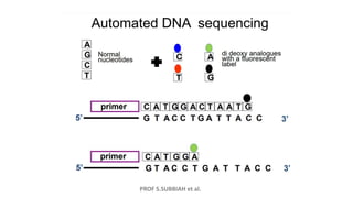 PROF S.SUBBIAH et al.
 