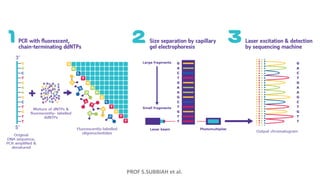 PROF S.SUBBIAH et al.
 