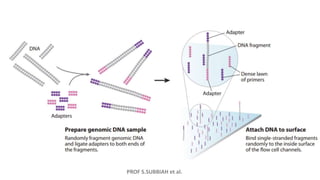 PROF S.SUBBIAH et al.
 