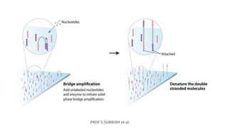 PROF S.SUBBIAH et al.
 