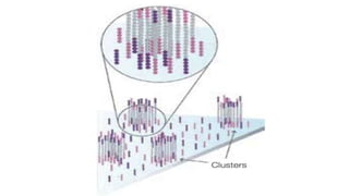 PROF S.SUBBIAH et al.
 