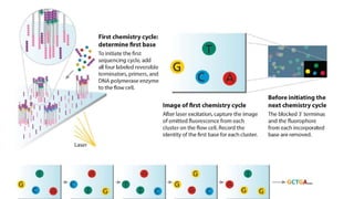 PROF S.SUBBIAH et al.
 