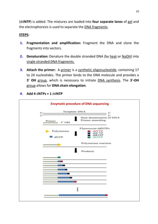 10
(ddNTP) is added. The mixtures are loaded into four separate lanes of gel and
the electrophoresis is used to separate the DNA fragments.
STEPS:
1. Fragmentation and amplification: Fragment the DNA and clone the
fragments into vectors.
2. Denaturation: Denature the double stranded DNA (by heat or NaOH) into
single stranded DNA fragments.
3. Attach the primer: A primer is a synthetic oligonucleotide, containing 17
to 24 nucleotides. The primer binds to the DNA molecule and provides a
3' OH group, which is necessary to initiate DNA synthesis. The 3'-OH
group allows for DNA chain elongation.
4. Add 4 dNTPs + 1 ddNTP
Enzymatic procedure of DNA sequencing
 