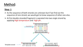 DNA Sequencing.pptx