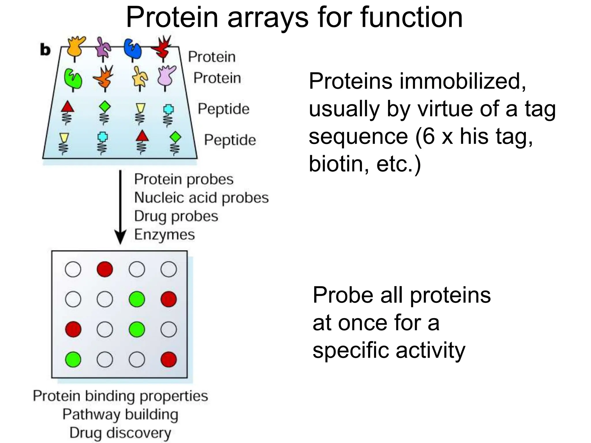 DNA Sequencing - DNA sequencing is like reading the instructions inside ...