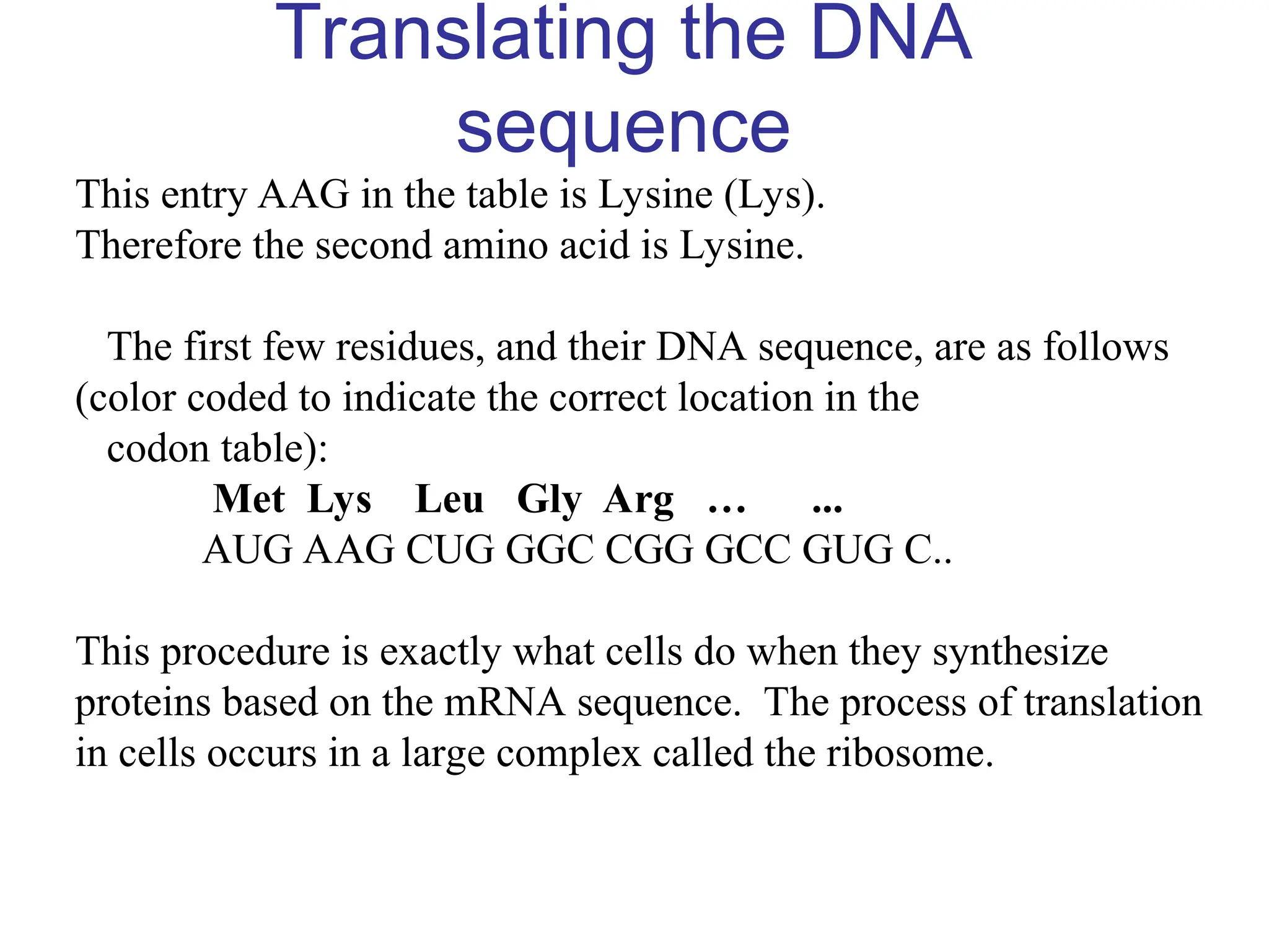 Translating the DNA
sequence
This entry AAG in the table is Lysine (Lys).
Therefore the second amino acid is Lysine.
The first few residues, and their DNA sequence, are as follows
(color coded to indicate the correct location in the
codon table):
Met Lys Leu Gly Arg … ...
AUG AAG CUG GGC CGG GCC GUG C..
This procedure is exactly what cells do when they synthesize
proteins based on the mRNA sequence. The process of translation
in cells occurs in a large complex called the ribosome.
 