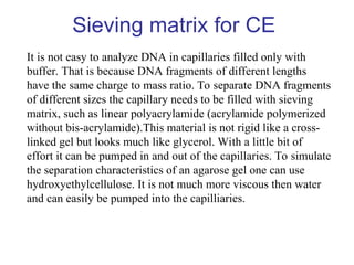 Sieving matrix for CE
It is not easy to analyze DNA in capillaries filled only with
buffer. That is because DNA fragments of different lengths
have the same charge to mass ratio. To separate DNA fragments
of different sizes the capillary needs to be filled with sieving
matrix, such as linear polyacrylamide (acrylamide polymerized
without bis-acrylamide).This material is not rigid like a cross-
linked gel but looks much like glycerol. With a little bit of
effort it can be pumped in and out of the capillaries. To simulate
the separation characteristics of an agarose gel one can use
hydroxyethylcellulose. It is not much more viscous then water
and can easily be pumped into the capilliaries.
 