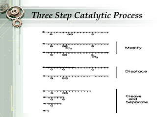 Three Step Catalytic Process
 
