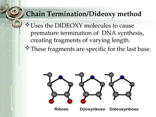 Chain Termination/Dideoxy method
Uses the DIDEOXY molecules to cause
premature termination of DNA synthesis,
creating fragments of varying length.
These fragments are specific for the last base.
 
