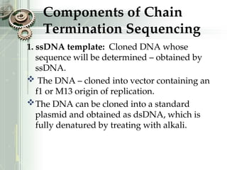 Components of Chain
Termination Sequencing
1. ssDNA template: Cloned DNA whose
sequence will be determined – obtained by
ssDNA.
 The DNA – cloned into vector containing an
f1 or M13 origin of replication.
The DNA can be cloned into a standard
plasmid and obtained as dsDNA, which is
fully denatured by treating with alkali.
 