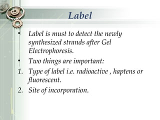 Label
• Label is must to detect the newly
synthesized strands after Gel
Electrophoresis.
• Two things are important:
1. Type of label i.e. radioactive , haptens or
fluorescent.
2. Site of incorporation.
 