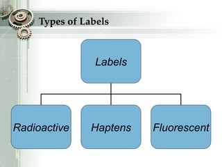 Types of Labels
Labels
Radioactive Haptens Fluorescent
 