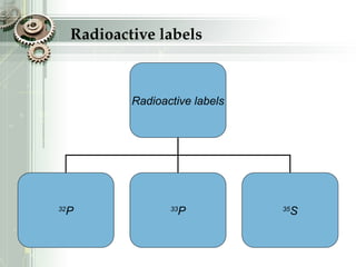 Radioactive labels
Radioactive labels
32
P 33
P 35
S
 