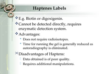 Haptenes Labels
E.g. Biotin or digoxigenin.
Cannot be detected directly, requires
enzymatic detection system.
Advantages:
 Does not require radioisotopes.
 Time for running the gel is generally reduced as
autoradiography is eliminated.
Disadvantages of Haptens:
 Data obtained is of poor quality.
 Requires additional manipulations.
 