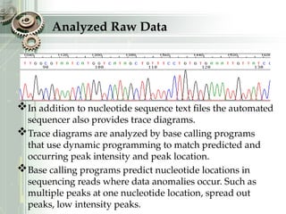 Analyzed Raw Data
In addition to nucleotide sequence text files the automated
sequencer also provides trace diagrams.
Trace diagrams are analyzed by base calling programs
that use dynamic programming to match predicted and
occurring peak intensity and peak location.
Base calling programs predict nucleotide locations in
sequencing reads where data anomalies occur. Such as
multiple peaks at one nucleotide location, spread out
peaks, low intensity peaks.
 