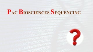Comprehensive Overview of DNA Sequencing Methods in Plant Genomics | PPTX