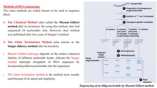 Methods of DNA sequencing:
Two main methods are widely known to be used to sequence
DNA:
1. The Chemical Method (also called the Maxam–Gilbert
method after its inventors). By using this method, they had
sequenced 24 nucleotides only. However, their method
was published after two years of Sanger’s method.
2. The Chain Termination Method (also known as the
Sanger dideoxy method after its inventor).
 Maxam–Gilbert technique depends on the relative chemical
liability of different nucleotide bonds, whereas the Sanger
method interrupts elongation of DNA sequences by
incorporating dideoxynucleotides into the sequences.
 The chain termination method is the method more usually
used because of its speed and simplicity.
Sequencing of an Oligonucleotide by Maxam-Gilbert method
 