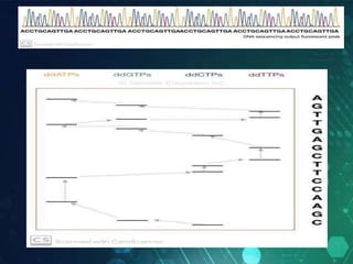 DNA Sequencing-WPS Office.pptx