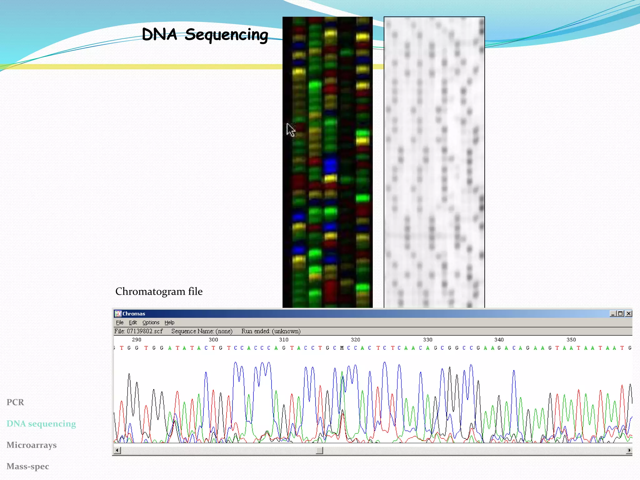 DNA Sequencing
Chromatogram file
PCR
DNA sequencing
Microarrays
Mass-spec
 