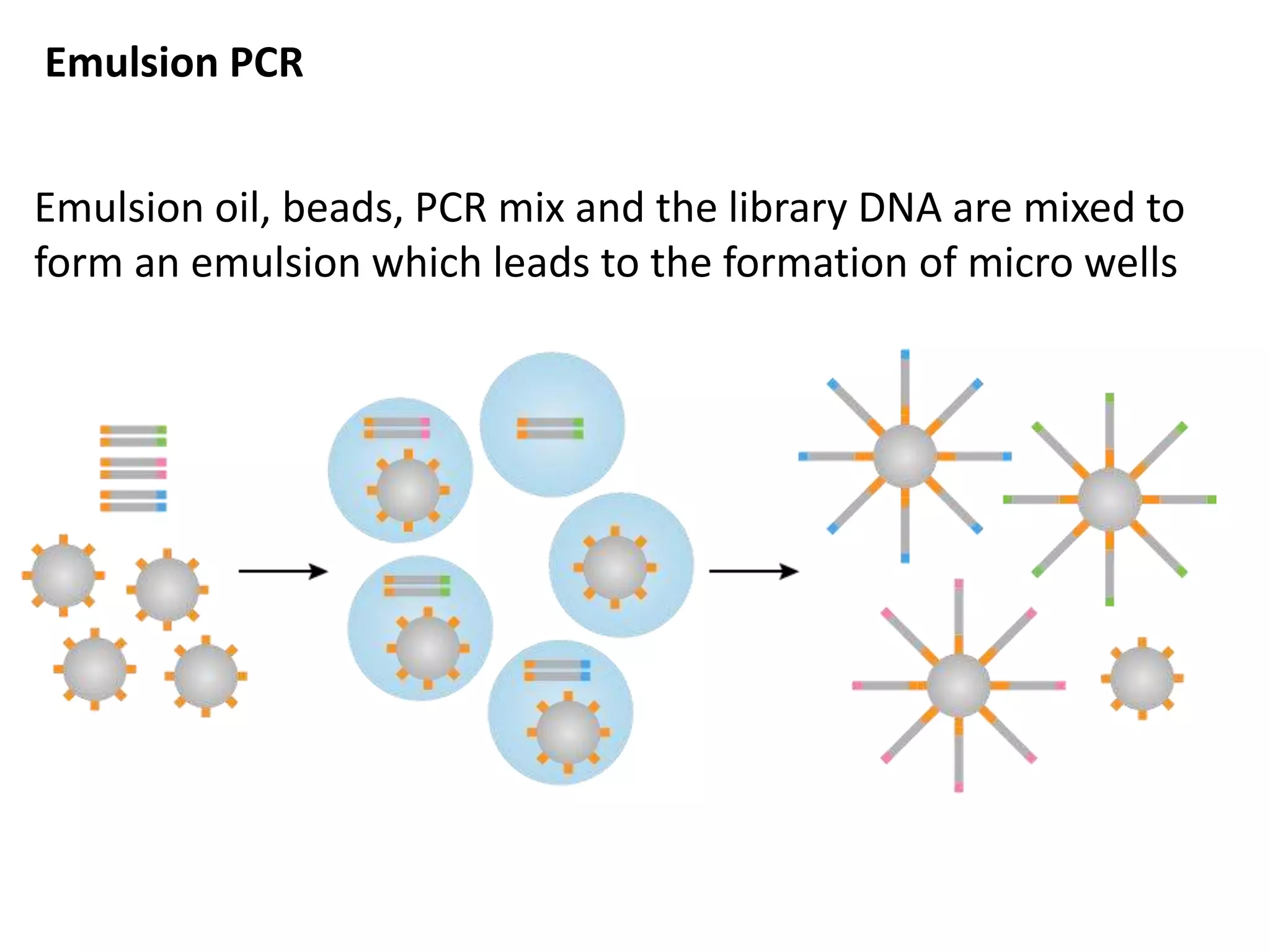 Emulsion PCR
Emulsion oil, beads, PCR mix and the library DNA are mixed to
form an emulsion which leads to the formation of micro wells
 