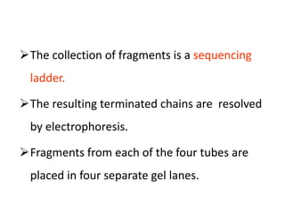 The collection of fragments is a sequencing
ladder.
The resulting terminated chains are resolved
by electrophoresis.
Fragments from each of the four tubes are
placed in four separate gel lanes.
 