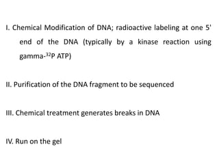 I. Chemical Modification of DNA; radioactive labeling at one 5'
end of the DNA (typically by a kinase reaction using
gamma-32P ATP)
II. Purification of the DNA fragment to be sequenced
III. Chemical treatment generates breaks in DNA
IV. Run on the gel
 
