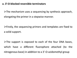 a. 3′-O-blocked reversible terminators
The mechanism uses a sequencing by synthesis approach,
elongating the primer in a stepwise manner.
Firstly, the sequencing primers and templates are fixed to
a solid support.
The support is exposed to each of the four DNA bases,
which have a different fluorophore attached (to the
nitrogenous base) in addition to a 3’-O-azidomethyl group
 
