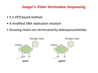 Sanger’s- Chain Termination Sequencing
• It is PCR based method
• A modified DNA replication reaction
• Growing chains are terminated by dideoxynucleotides
 