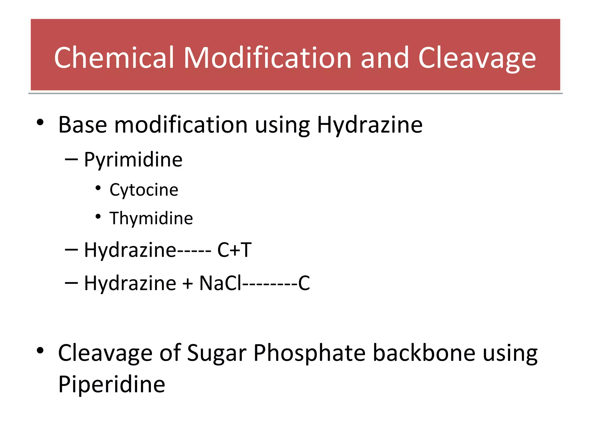 Chemical Modification and CleavageChemical Modification and Cleavage
• Base modification using Hydrazine
– Pyrimidine
• Cytocine
• Thymidine
– Hydrazine----- C+T
– Hydrazine + NaCl--------C
• Cleavage of Sugar Phosphate backbone using
Piperidine
 