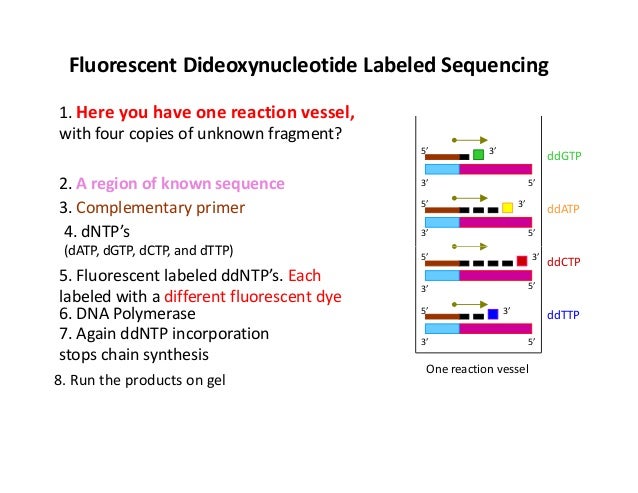 compare two gene sequences compare two gene sequences