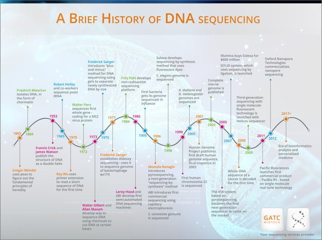 the journey of dna