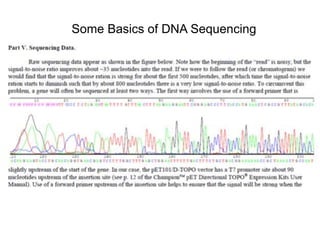 Some Basics of DNA Sequencing 
 