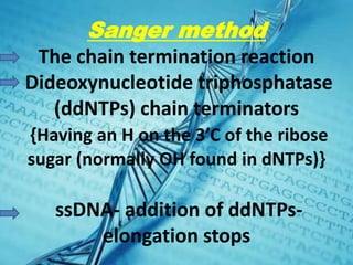 Sanger method
The chain termination reaction
Dideoxynucleotide triphosphatase
(ddNTPs) chain terminators
{Having an H on the 3’C of the ribose
sugar (normally OH found in dNTPs)}
ssDNA- addition of ddNTPs-
elongation stops
 