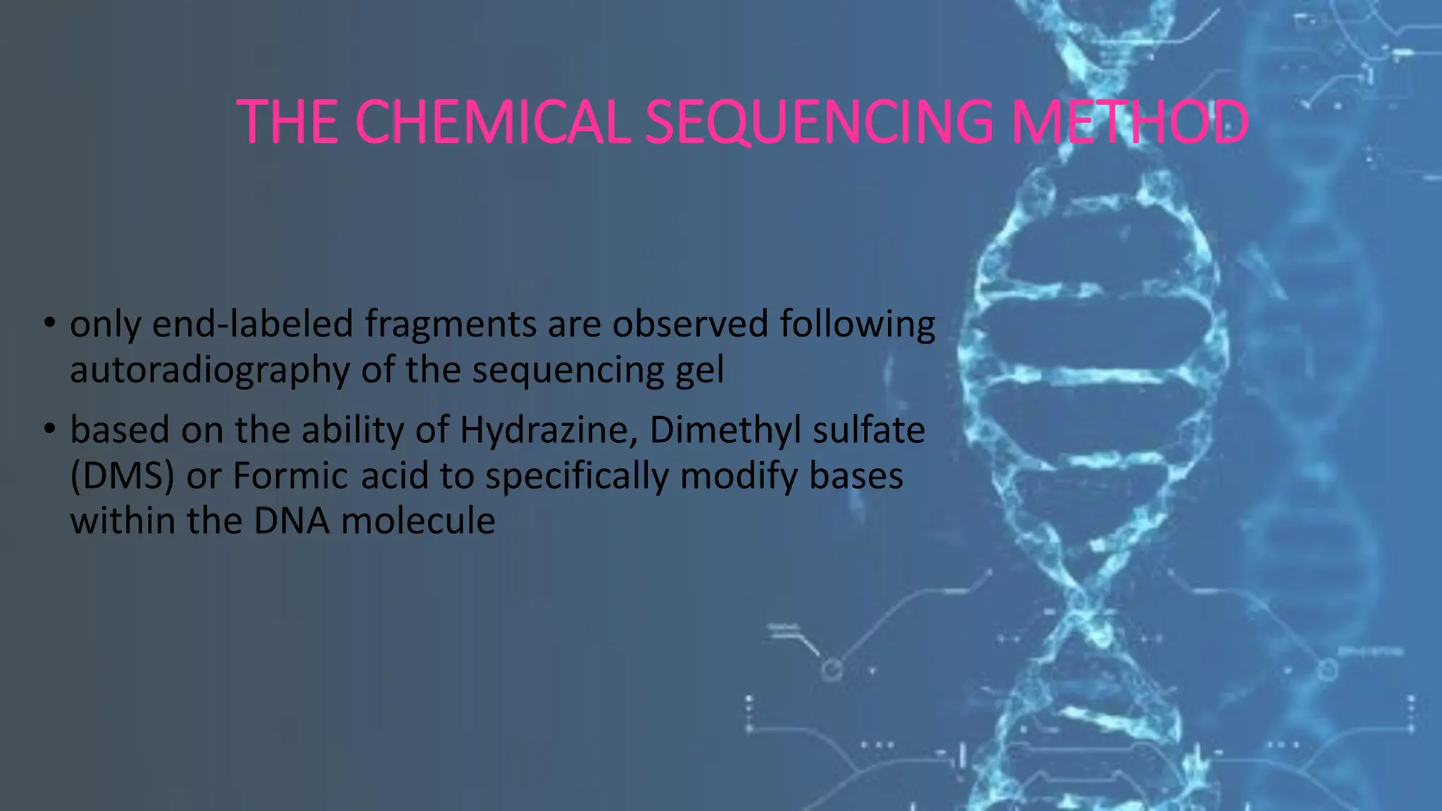 THE CHEMICAL SEQUENCING METHOD
• only end-labeled fragments are observed following
autoradiography of the sequencing gel
• based on the ability of Hydrazine, Dimethyl sulfate
(DMS) or Formic acid to specifically modify bases
within the DNA molecule
 