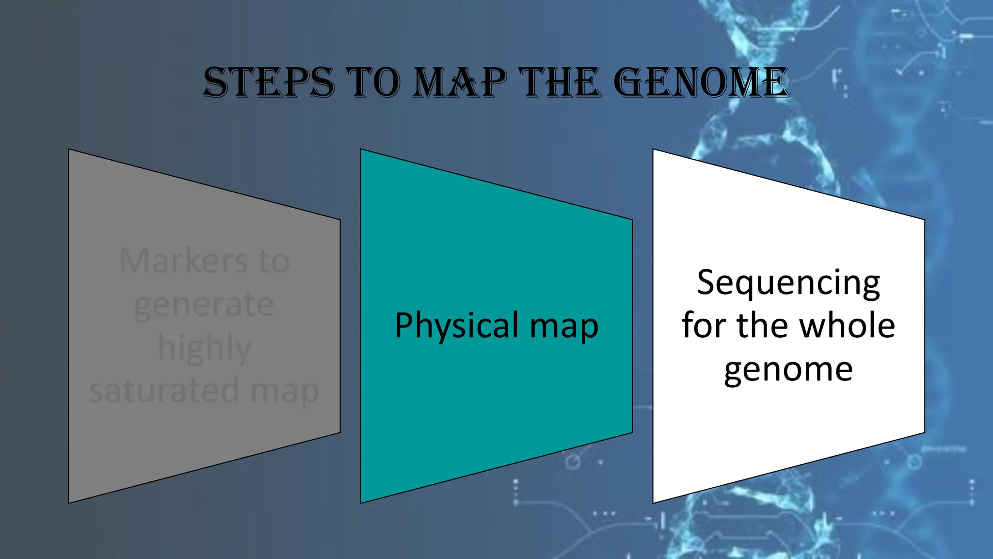 Steps to map the GEnome
Markers to
generate
highly
saturated map
Physical map
Sequencing
for the whole
genome
 