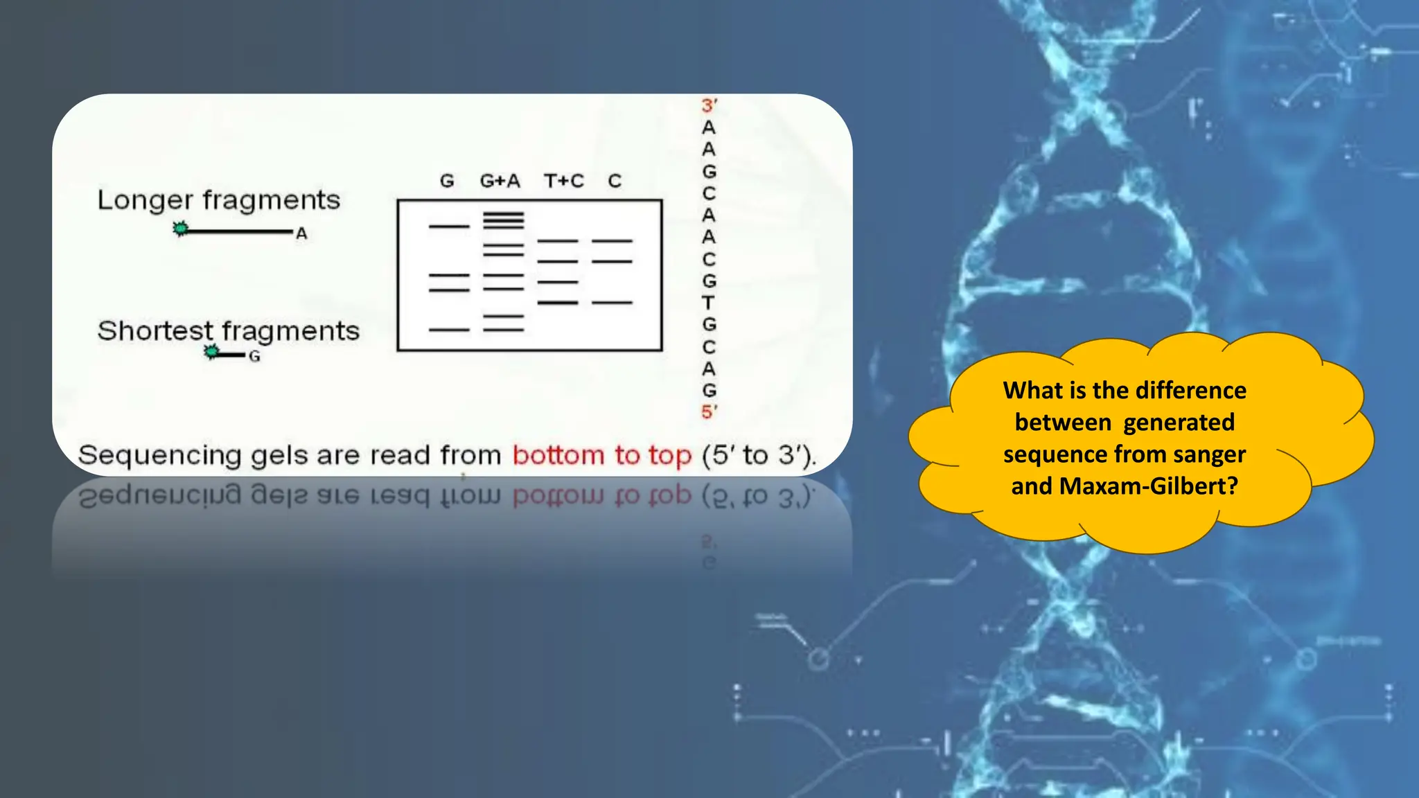 What is the difference
between generated
sequence from sanger
and Maxam-Gilbert?
 