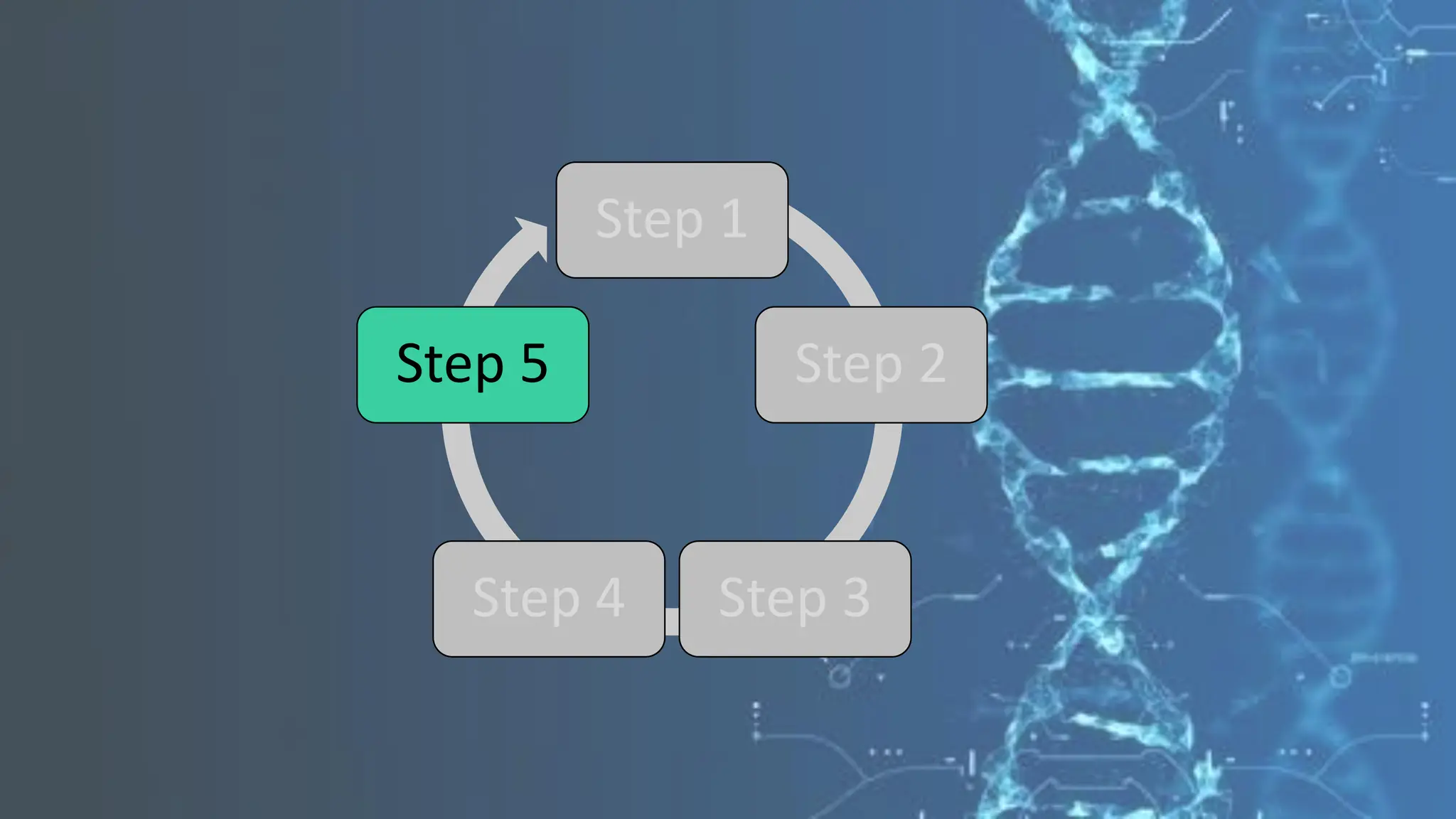 Step 1
Step 2
Step 3
Step 4
Step 5
 