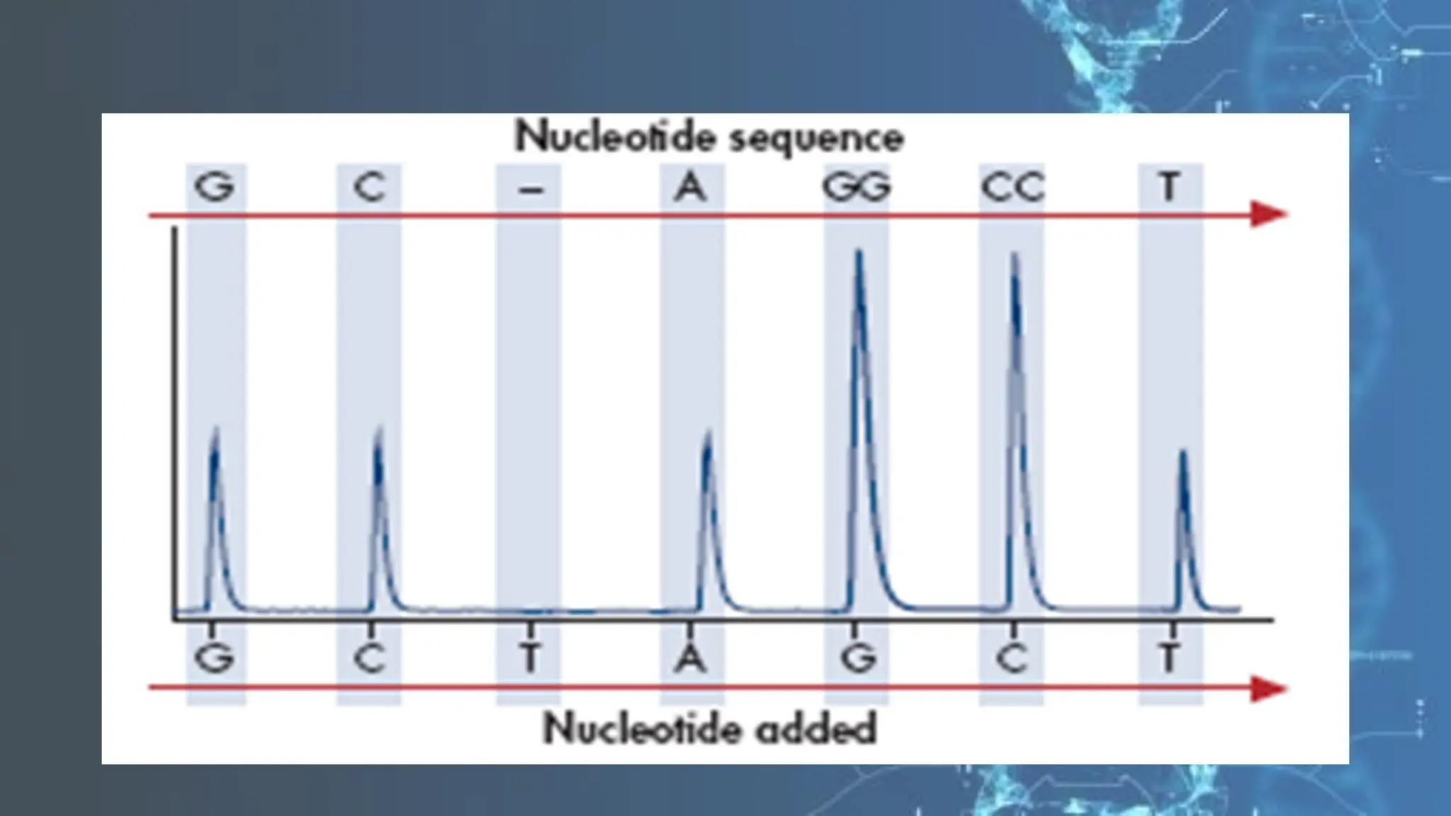 DNA sequencing mapping pdf.pdf