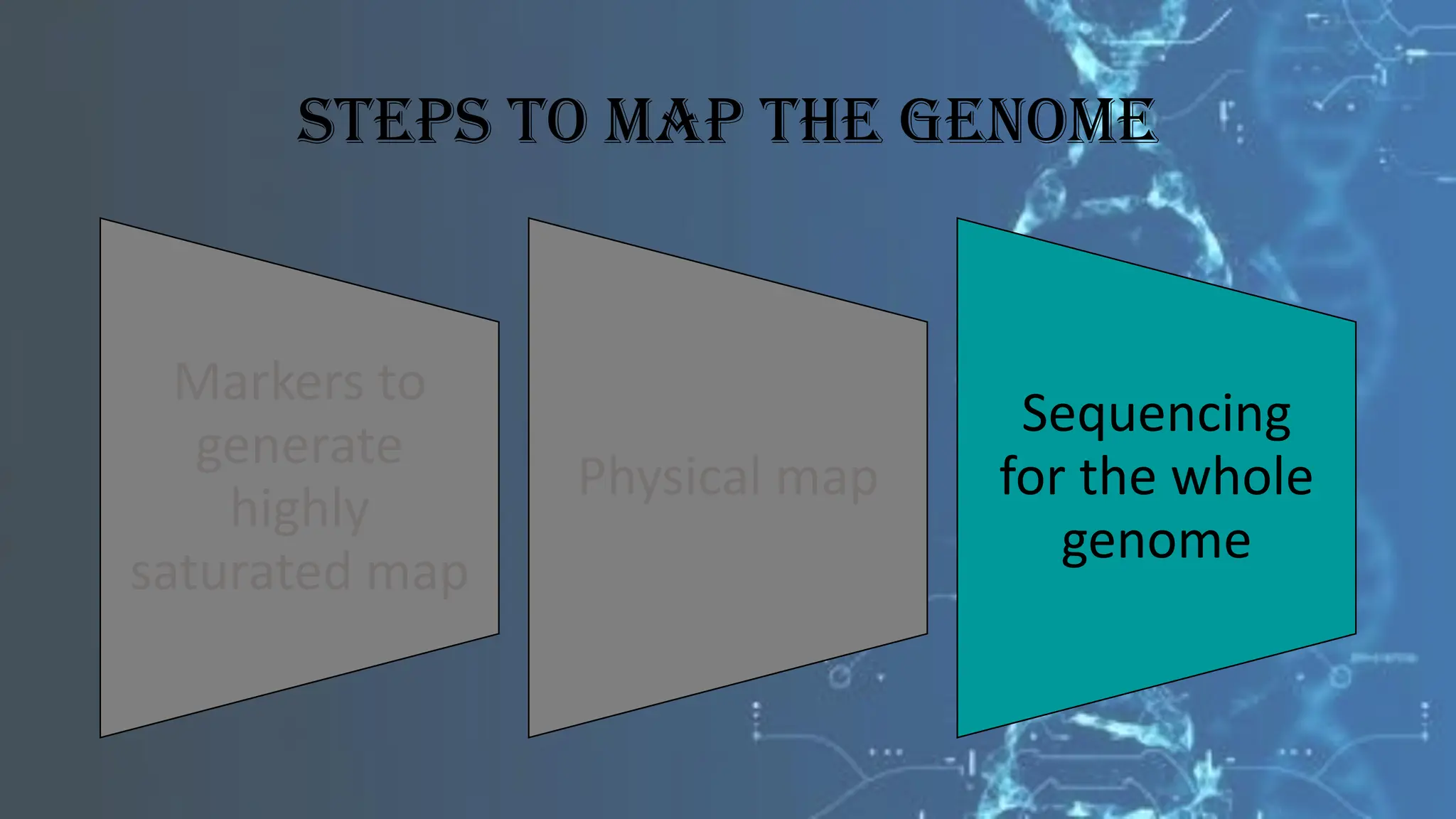 Steps to map the GEnome
Markers to
generate
highly
saturated map
Physical map
Sequencing
for the whole
genome
 