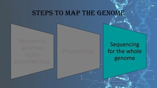 DNA sequencing mapping pdf.pdf