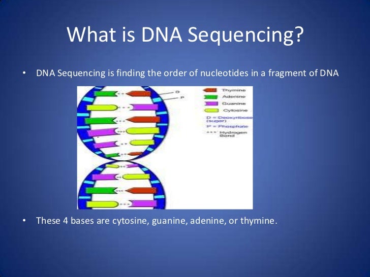 dna sequencing