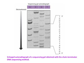 DNA Sequencing Techcnology and Methodology | PDF