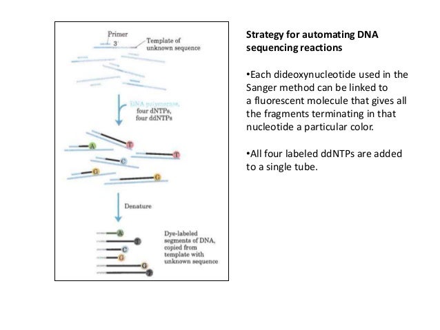 Dna sequencing techniques