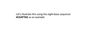 Let’s illustrate this using the eight-base sequence
ACGATTAG as an example
 