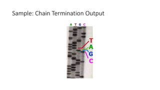 Sample: Chain Termination Output
 