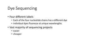 Dye Sequencing
• Four different labels
• Each of the four nucleotide chains has a different dye
• Individual dyes fluoresce at unique wavelengths
• Vast majority of sequencing projects
• easier
• cheaper
 