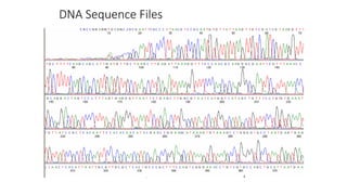 DNA Sequence Files
 