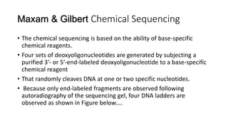 Maxam & Gilbert Chemical Sequencing
• The chemical sequencing is based on the ability of base-specific
chemical reagents.
• Four sets of deoxyoligonucleotides are generated by subjecting a
purified 3′- or 5′-end-labeled deoxyoligonucleotide to a base-specific
chemical reagent
• That randomly cleaves DNA at one or two specific nucleotides.
• Because only end-labeled fragments are observed following
autoradiography of the sequencing gel, four DNA ladders are
observed as shown in Figure below….
 