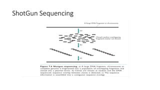ShotGun Sequencing
 